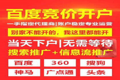 成功案例分享：SEM推广策略的制定与执行